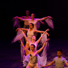 d7k_1692_carrysize_cr_44460548704_o.jpg